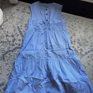 Everlane Blue Striped Maxi